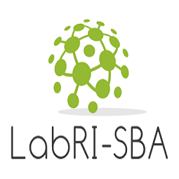 LabRI-SBA Logo